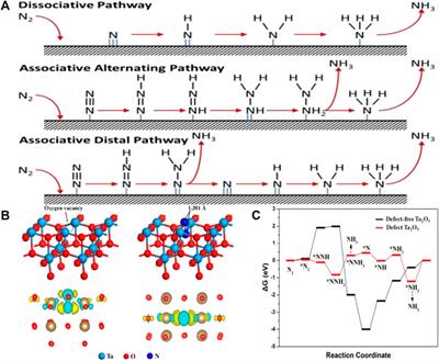 Oxygen vacancies engineering in electrocatalysts nitrogen reduction reaction